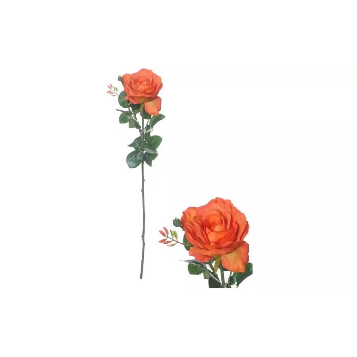 1024 Image 1