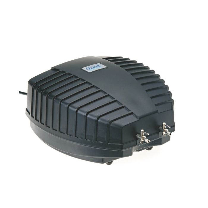 110863 Image 1