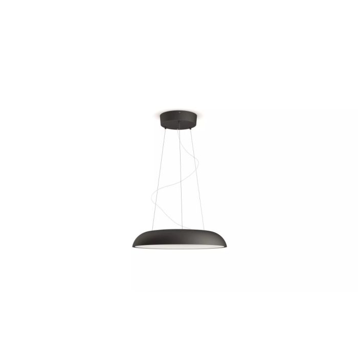 117923 Image 1