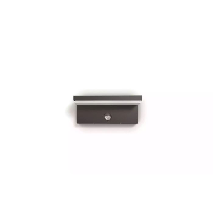 146902 Image 1