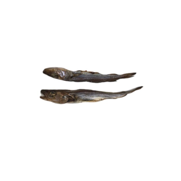 166721 Image 1