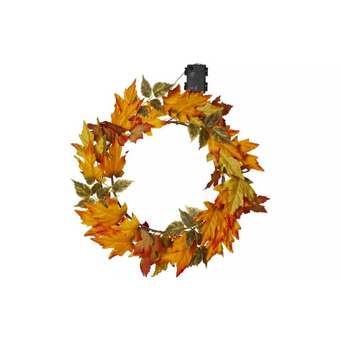 169939 Image 1