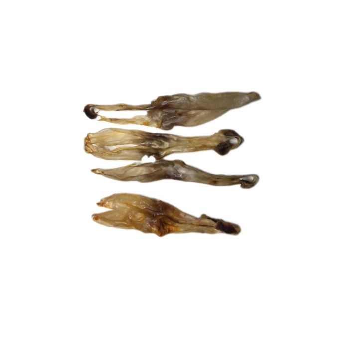 184349 Image 1