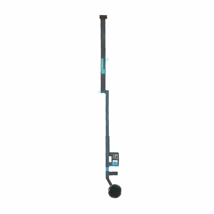 2249181 Image 1
