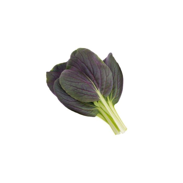 246263 Image 1