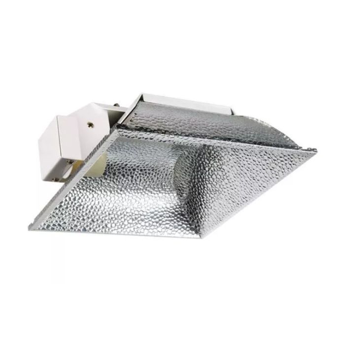25539 Image 1
