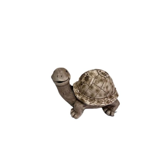 31476 Image 1