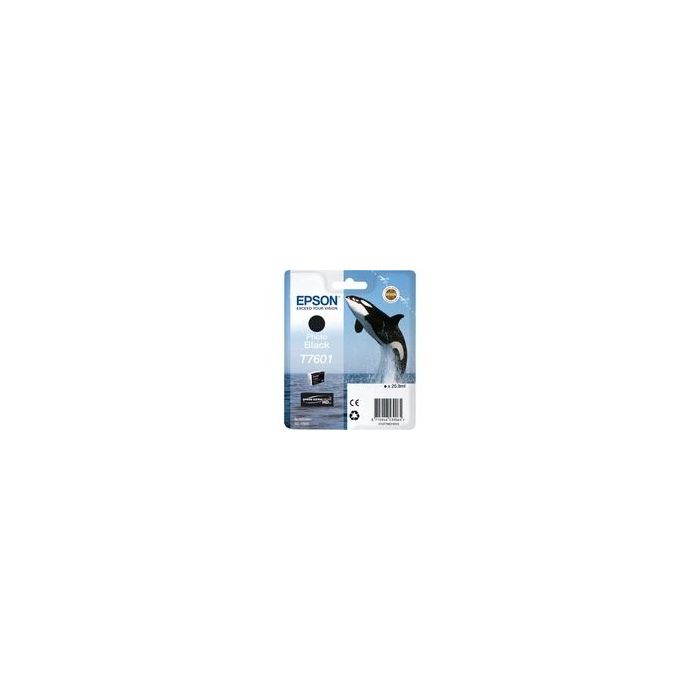 47245 Image 1