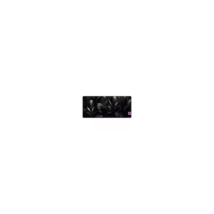 48021 Image 1