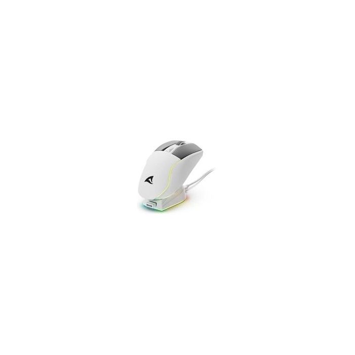 48076 Image 1