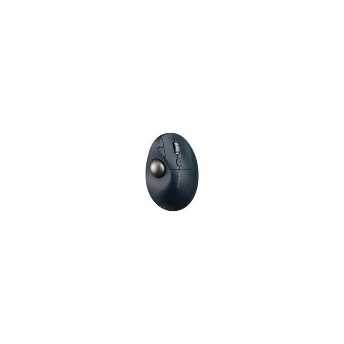 48201 Image 1