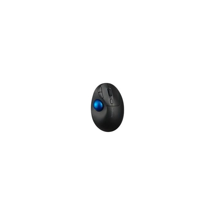 48203 Image 1