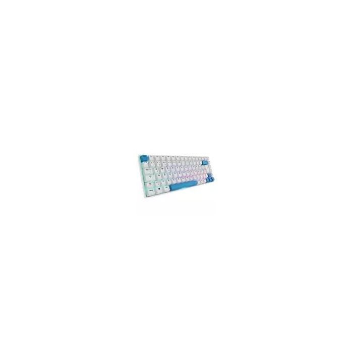48530 Image 1