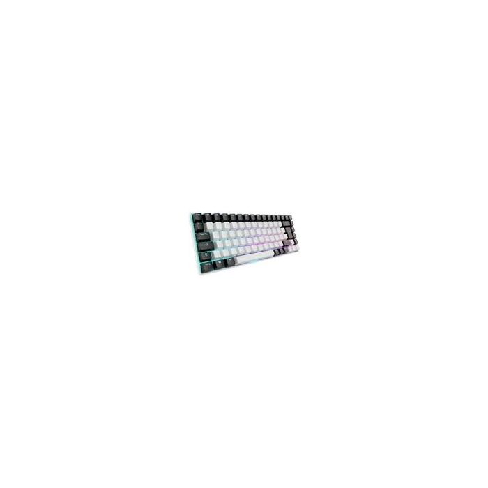 48561 Image 1