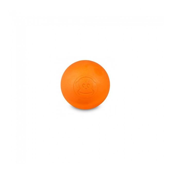 558062 Image 1