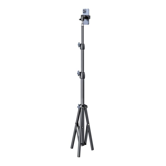 709264 Image 1
