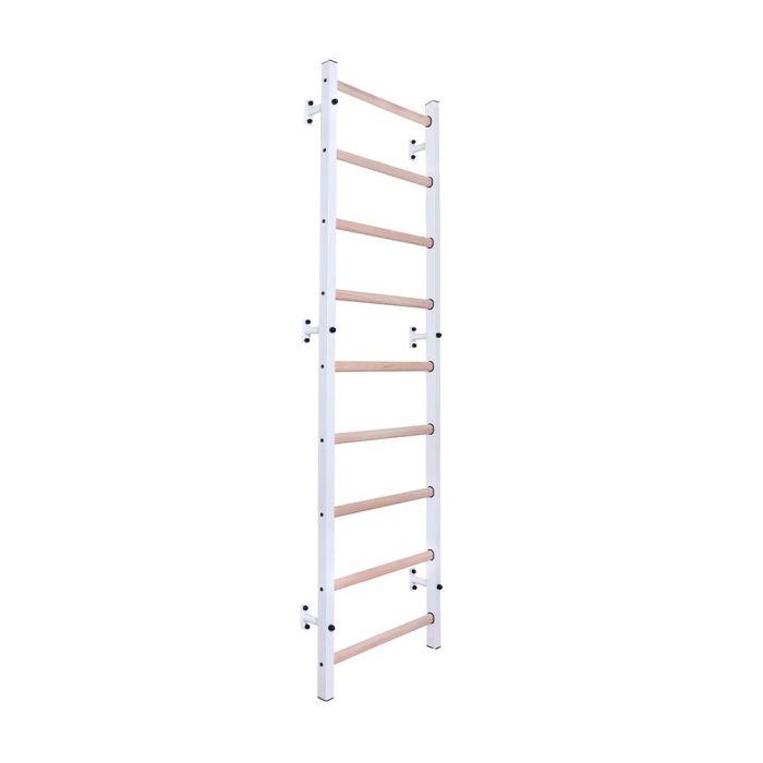 81383 Image 1