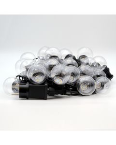 1383197 Image 1