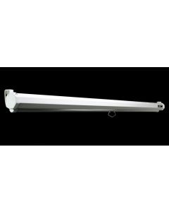 1978775 Image 1