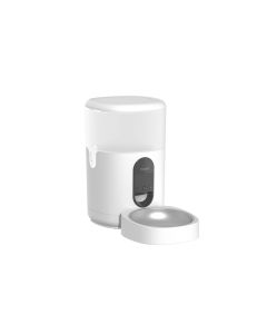 246040 Image 1