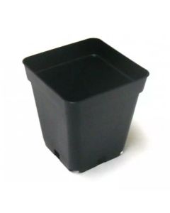 25070 Image 1
