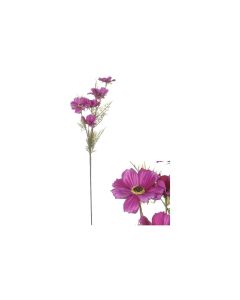 460 Image 1