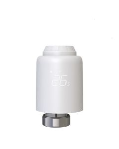 629546 Image 1