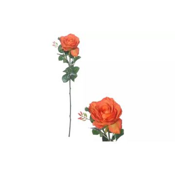 1024 Image 1