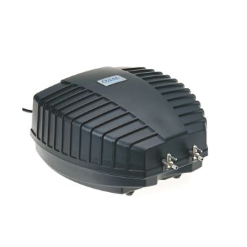 110863 Image 1