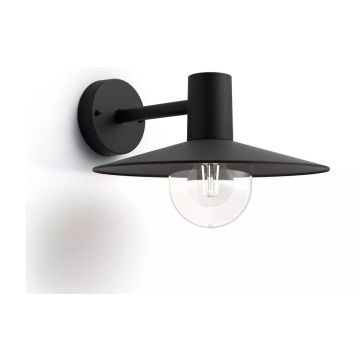155369 Image 1