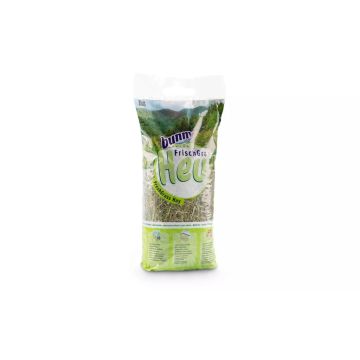 164696 Image 1
