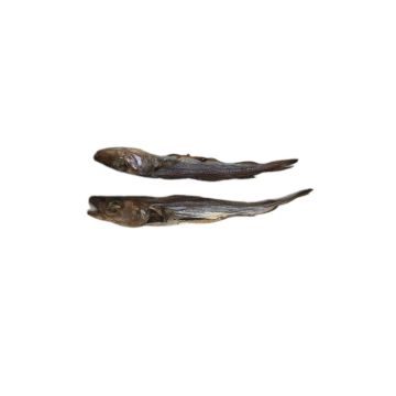 166721 Image 1
