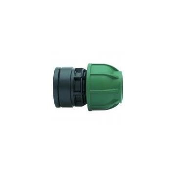 24993 Image 1
