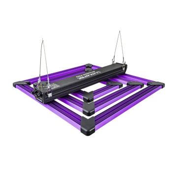 25944 Image 1