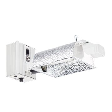 26416 Image 1