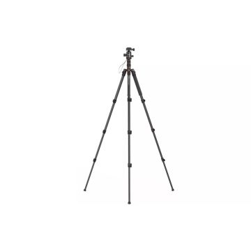 29708 Image 1