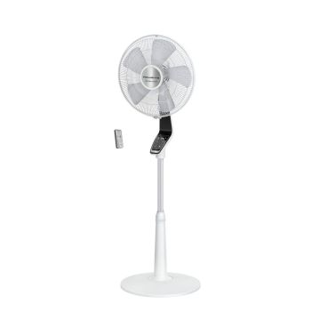 31144 Image 1