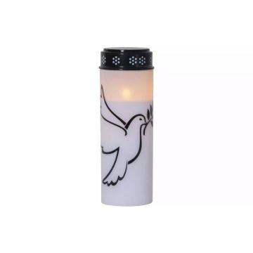 31502 Image 1