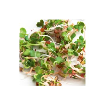 328153 Image 1
