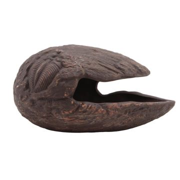 4322 Image 1