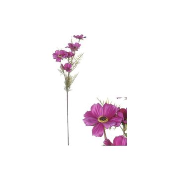 460 Image 1