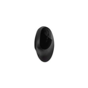 47931 Image 1