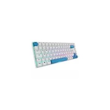 48530 Image 1