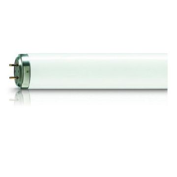 512500 Image 1