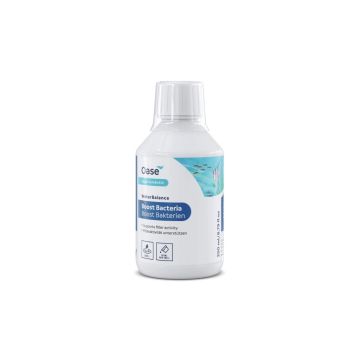 517813 Image 1