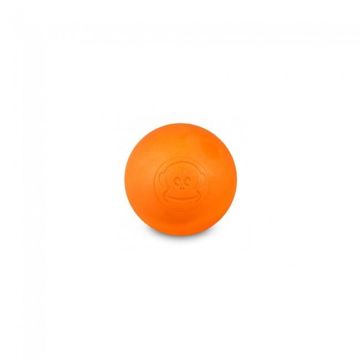 558062 Image 1