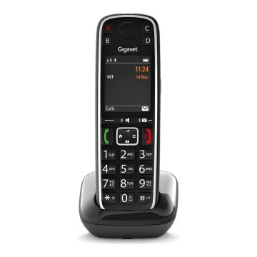 600202 Image 1