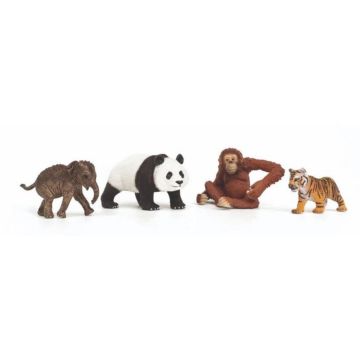 69603 Image 1