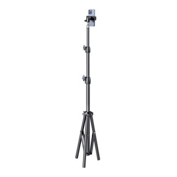 709264 Image 1