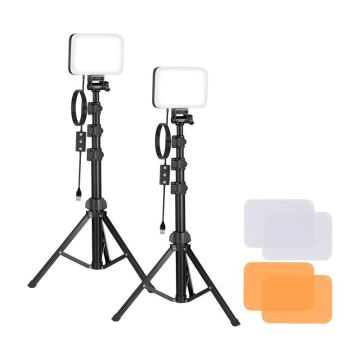 754446 Image 1